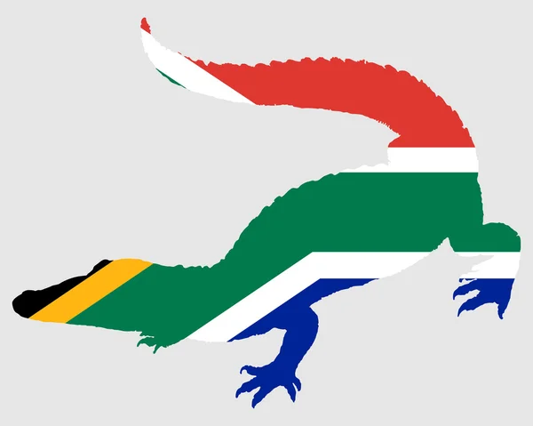 Krokodýl Jihoafrická Republika — Stock fotografie
