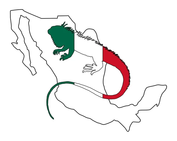 Iguana Mexico — Stok Foto