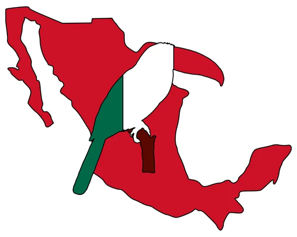 Toucan Mexico — Stockfoto