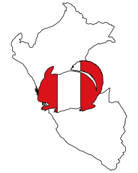 Περού τσιντσιλά — Φωτογραφία Αρχείου