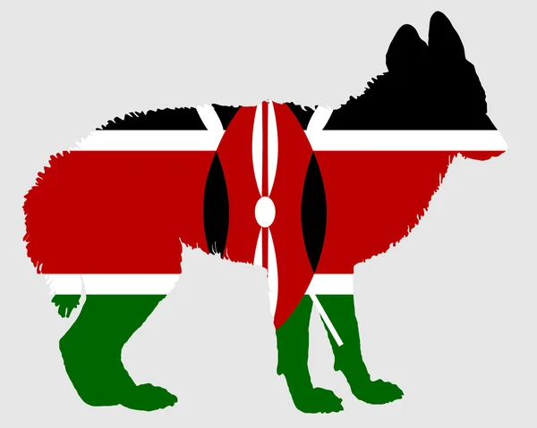 来自肯尼亚的豺狼 — 图库照片
