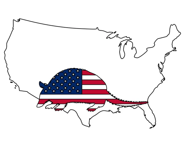 Gürteltier Vereinigte Staaten Von Amerika — Stockfoto