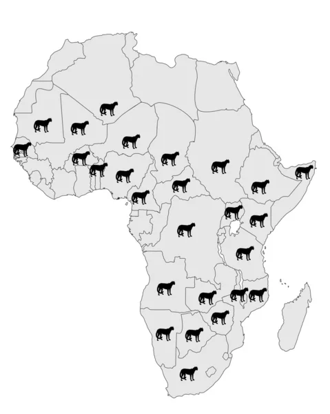 Distribuzione del ghepardo Africa — Foto Stock