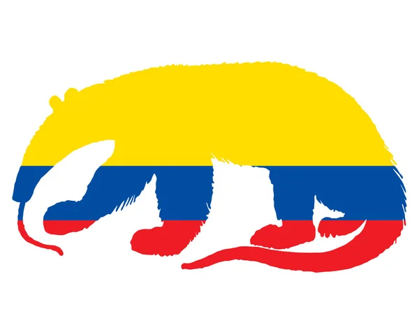 Anteater Ecuador — Stockfoto