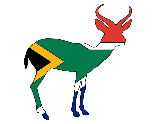 Sydafrika antilope — Stockfoto