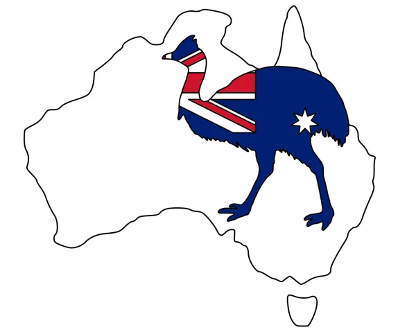Кассовари Австралия — стоковое фото