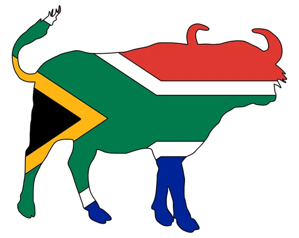 Südafrikanischer Büffel — Stockfoto