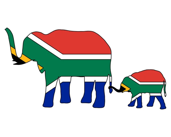 Південноафриканський слони — стокове фото