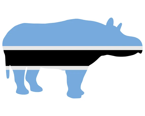 Botsvana hipopotam — Stok fotoğraf
