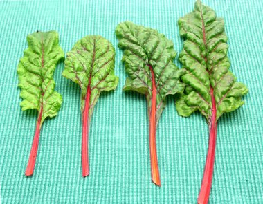 Four red stemmed chard on green background clipart