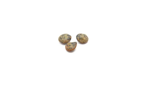Imagem detalhada mas simples de lentilhas du Puy — Fotografia de Stock