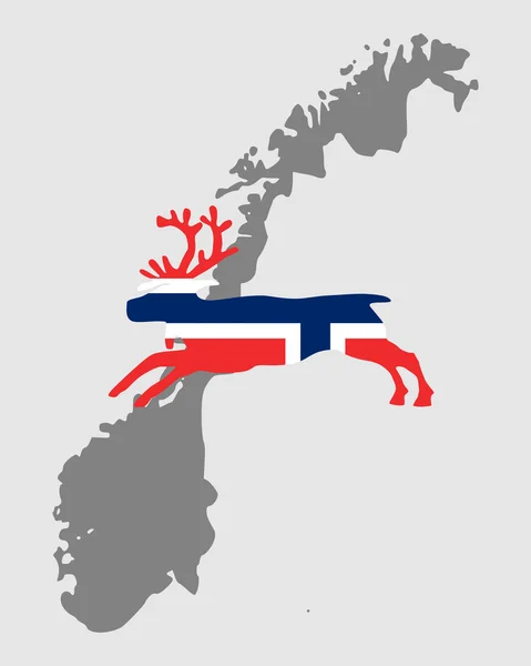 Νορβηγικά-τάρανδος — Φωτογραφία Αρχείου