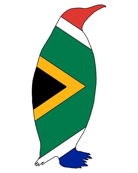 Penuin Zuid Afrika — Stockfoto