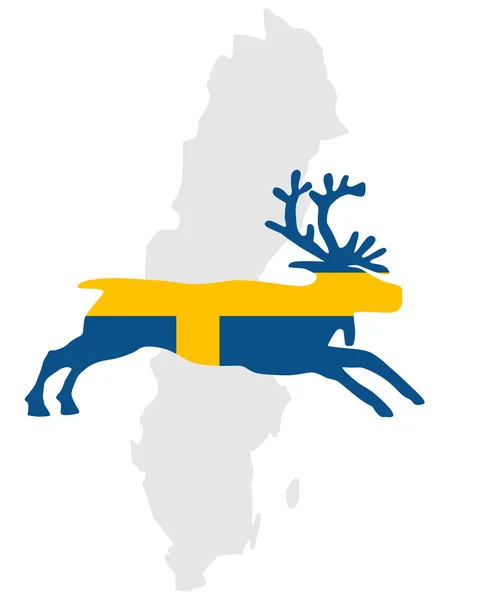 瑞典驯鹿 — 图库照片