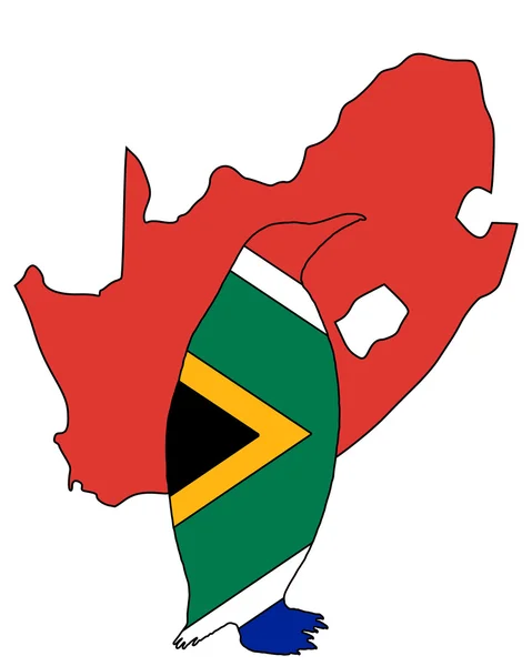 Penuin südafrika — Stockfoto