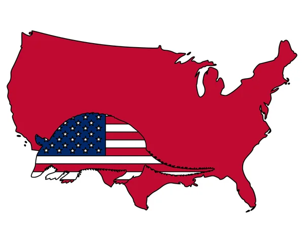 Armadillo Estados Unidos América — Fotografia de Stock