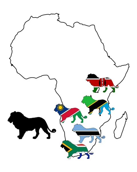 Африканские львы — стоковое фото