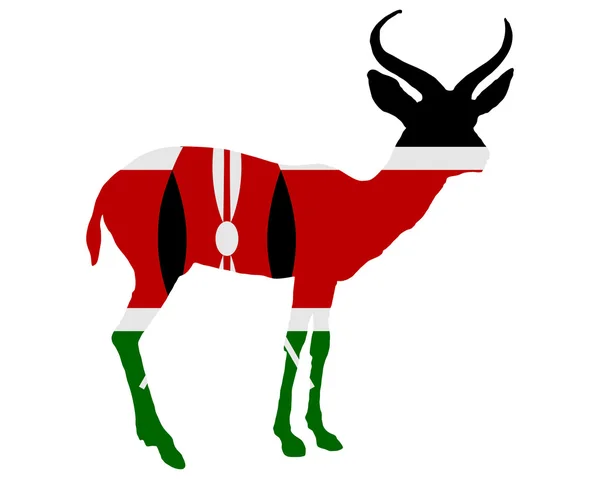 Kenia-Antilope — Stockfoto