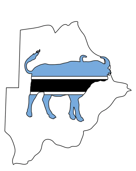 Botswana buffalo — Stockfoto