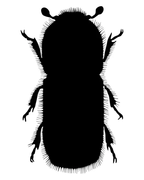Bark-beetle silhouette — Stock Photo, Image