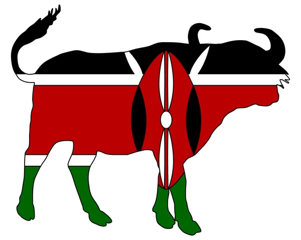stock image Kenya cape buffalo