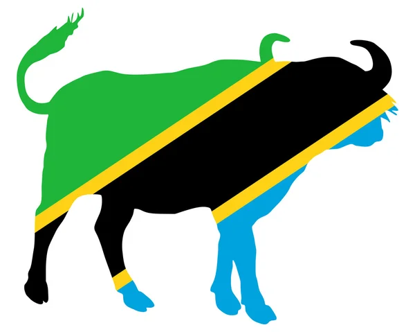Tanzania buffaloBúfalo de Tanzania — Stockfoto