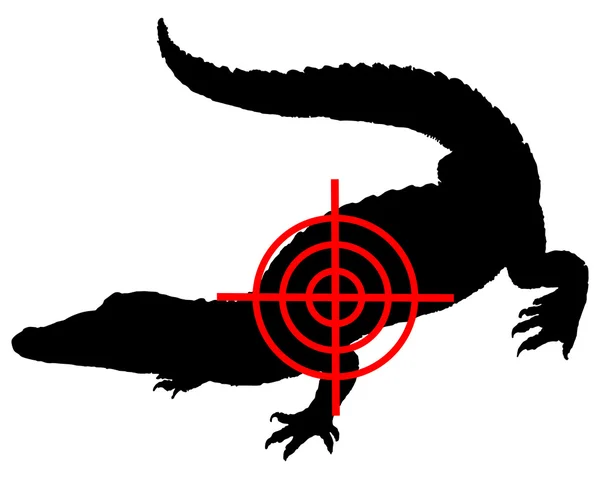 Крокодиловый перекресток — стоковое фото