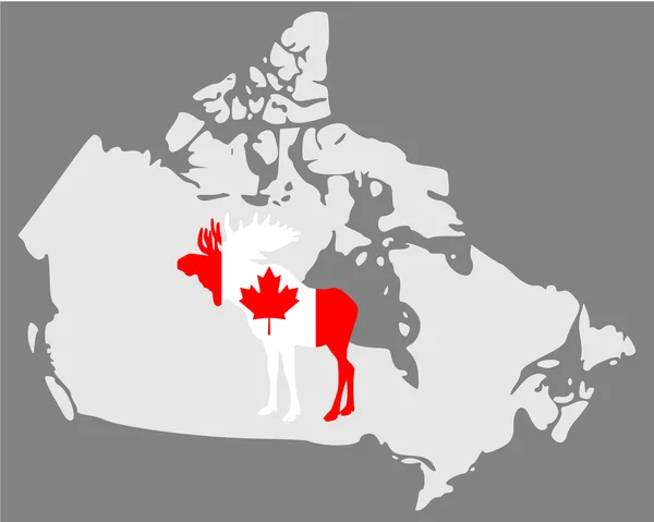 Kanadischer Elch — Stockfoto