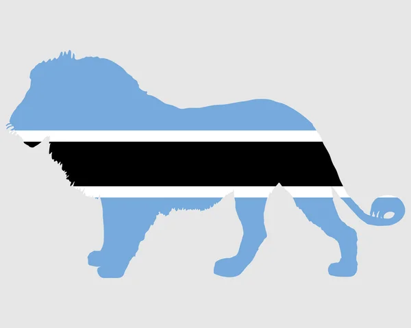 León Botswana — Foto de Stock