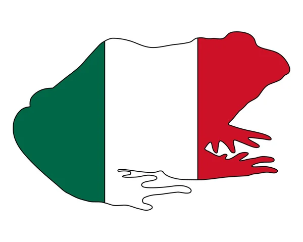 Bullfrog Mexico — Stock Photo, Image