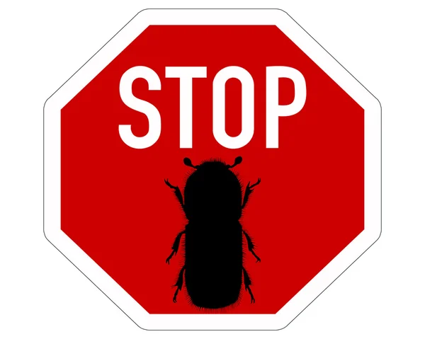 Señal de parada de escarabajo corteza —  Fotos de Stock