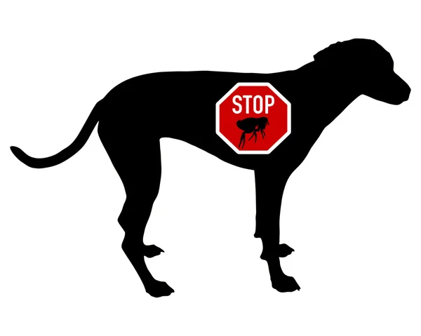 Dog stop sign for fleas — Stock Photo, Image