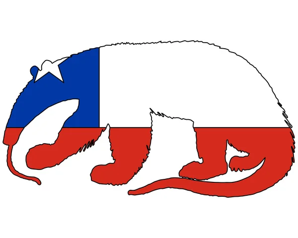 Chile oso hormiguero — Foto de Stock