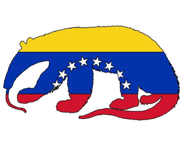 Anteater Venezuela — Stockfoto