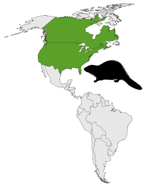 Distribuzione di castoro canadese — Foto Stock