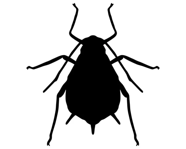 Aphid Silhouette — Stock Photo, Image