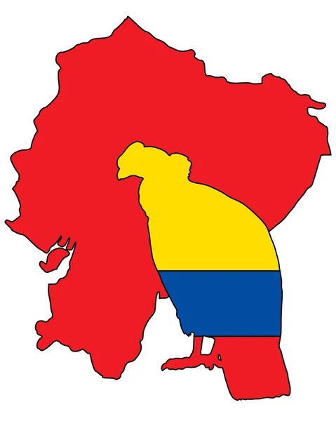 Των Άνδεων condor Εκουαδόρ — Φωτογραφία Αρχείου