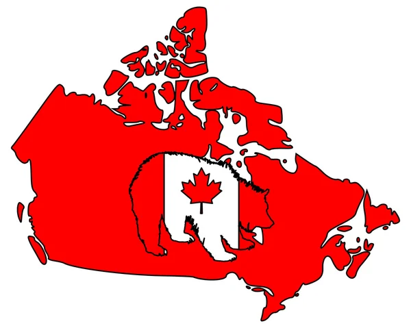 Kanadyjski grizzly — Zdjęcie stockowe
