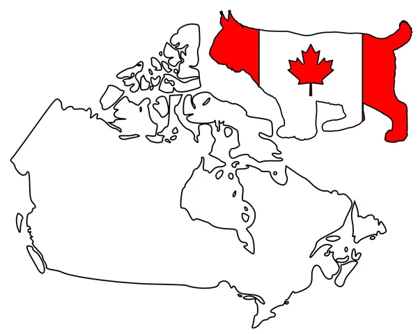 Kanadai hiúz — Stock Fotó