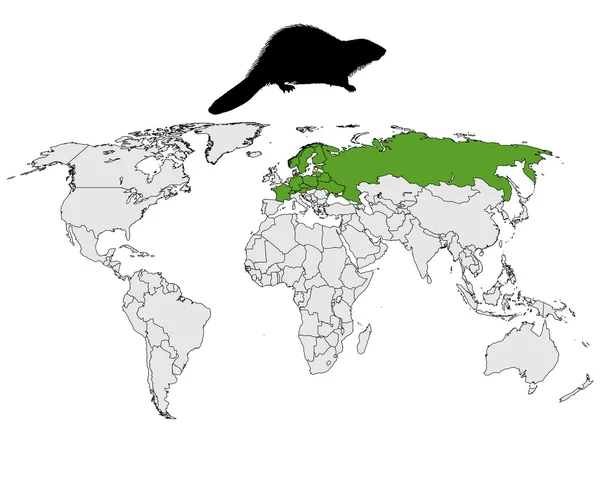 Distribución de castor europeo —  Fotos de Stock
