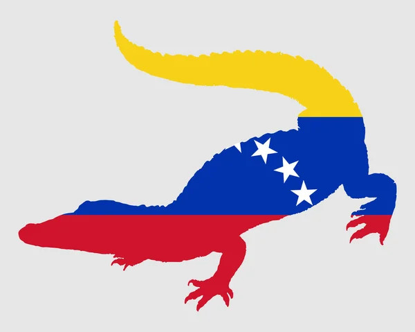 鳄鱼委内瑞拉 — 图库照片