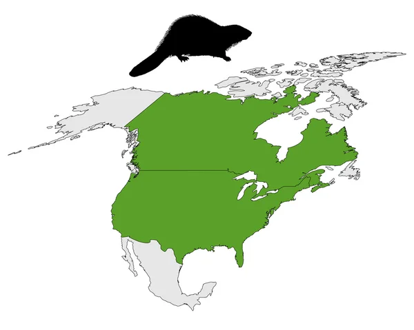 Distribución de castor canadiense —  Fotos de Stock