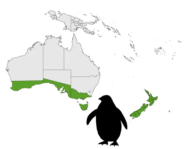 A kis pingvin tartomány — Stock Fotó