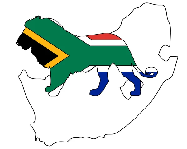 狮子南非 — 图库照片