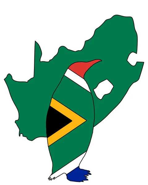 Penuin Zuid-Afrika — Stockfoto