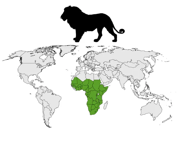 Lion distribution — Stock Photo, Image