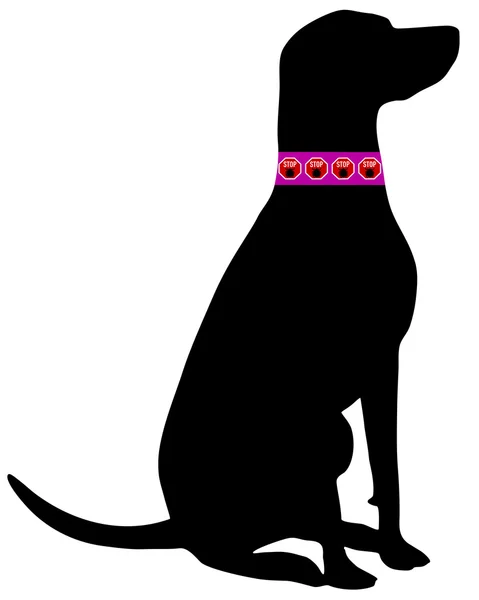 Coleira de carrapato cão — Fotografia de Stock