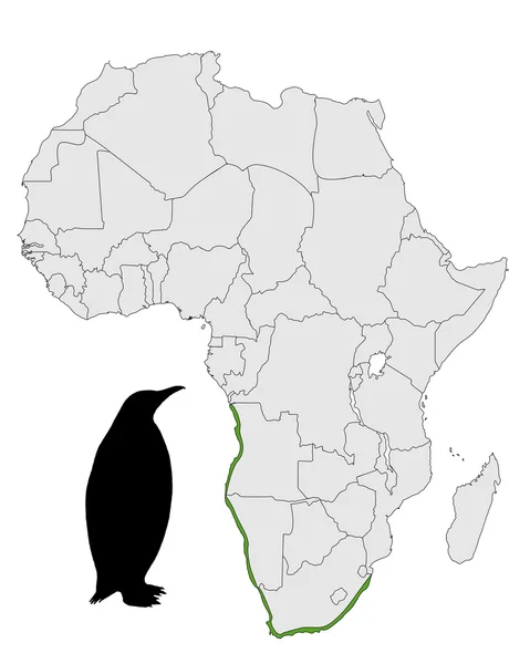 African penguin range — Stock Photo, Image