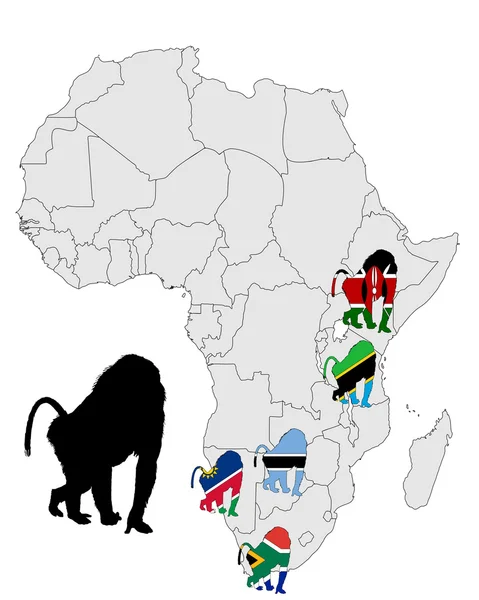 Mapa de alcance do babuíno — Fotografia de Stock
