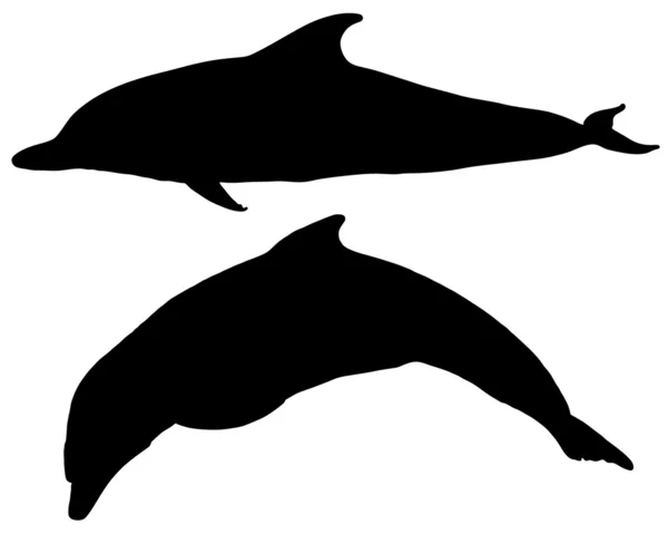Силуэты дельфинов — стоковое фото